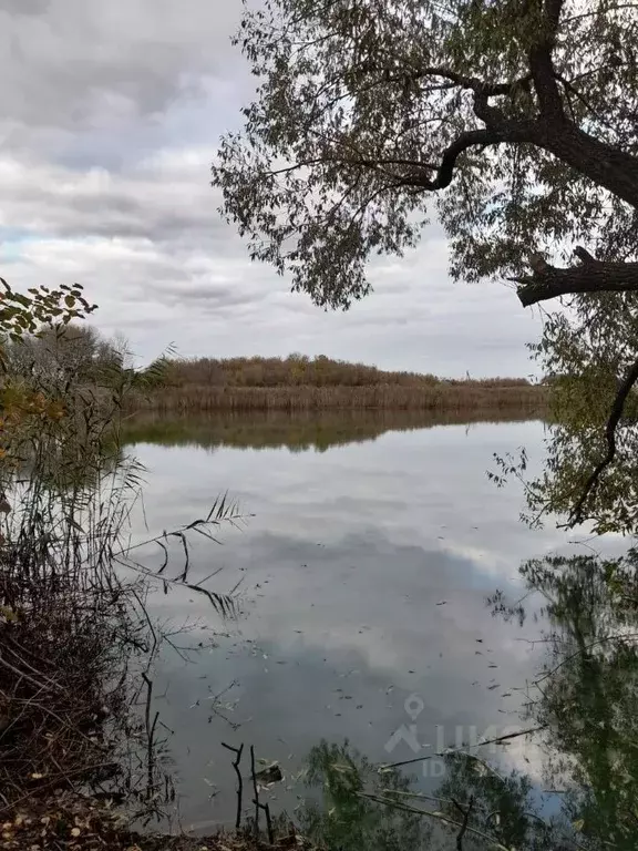 Дом в Воронежская область, Панинское городское поселение, с. Калмычек ... - Фото 0