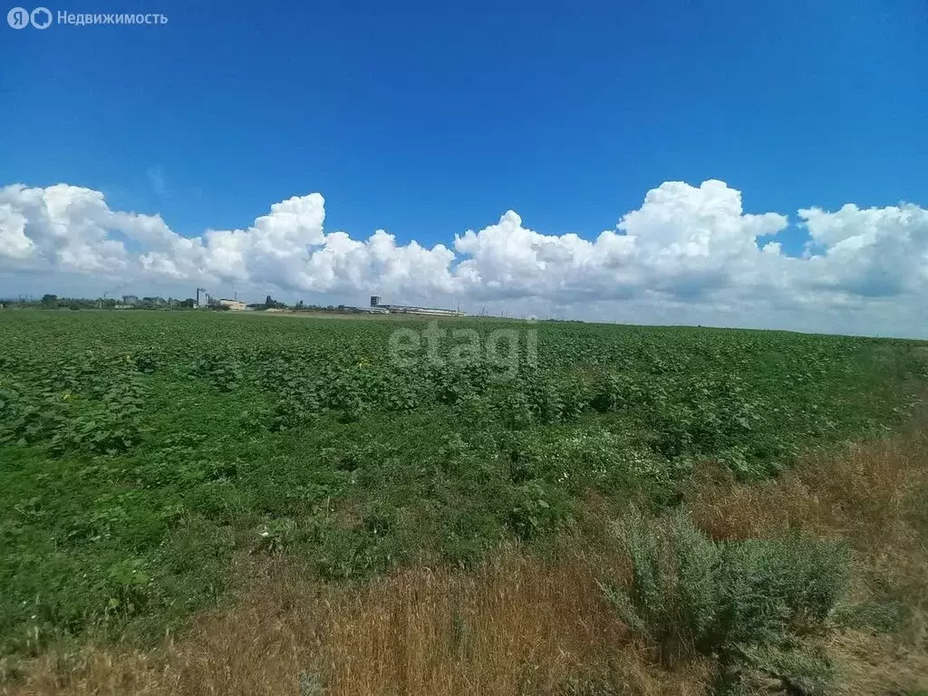 Участок в Краснодарский край, муниципальный округ Анапа, посёлок ... - Фото 1