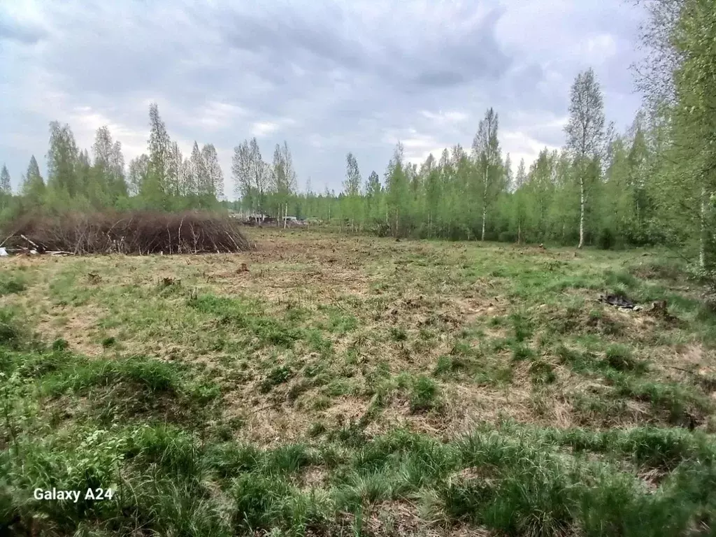 Участок в Ленинградская область, Всеволожский район, Колтушское ... - Фото 0