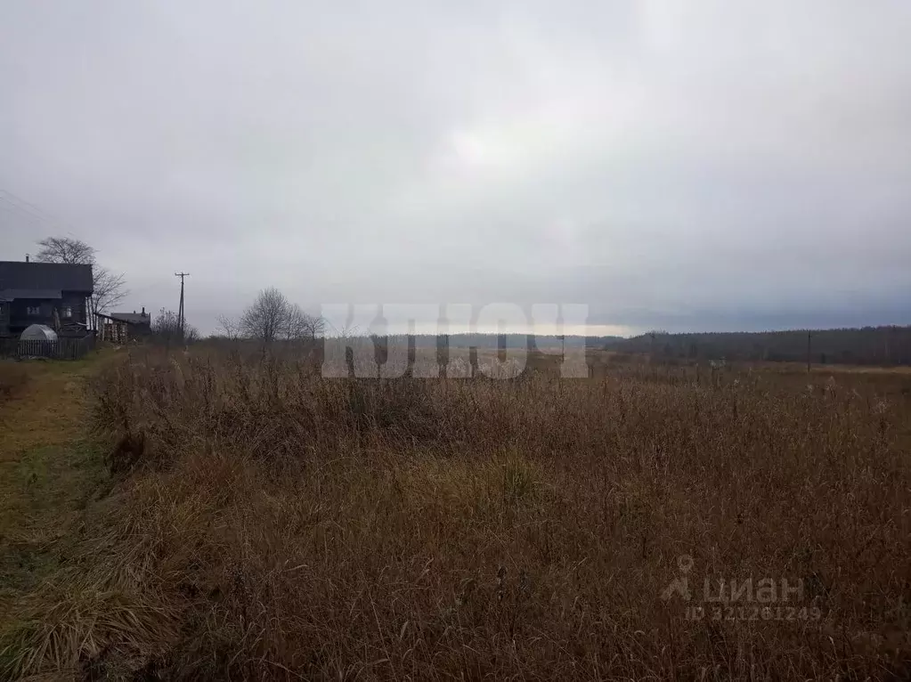 Участок в Вологодская область, Сокольский муниципальный округ, д. ... - Фото 1