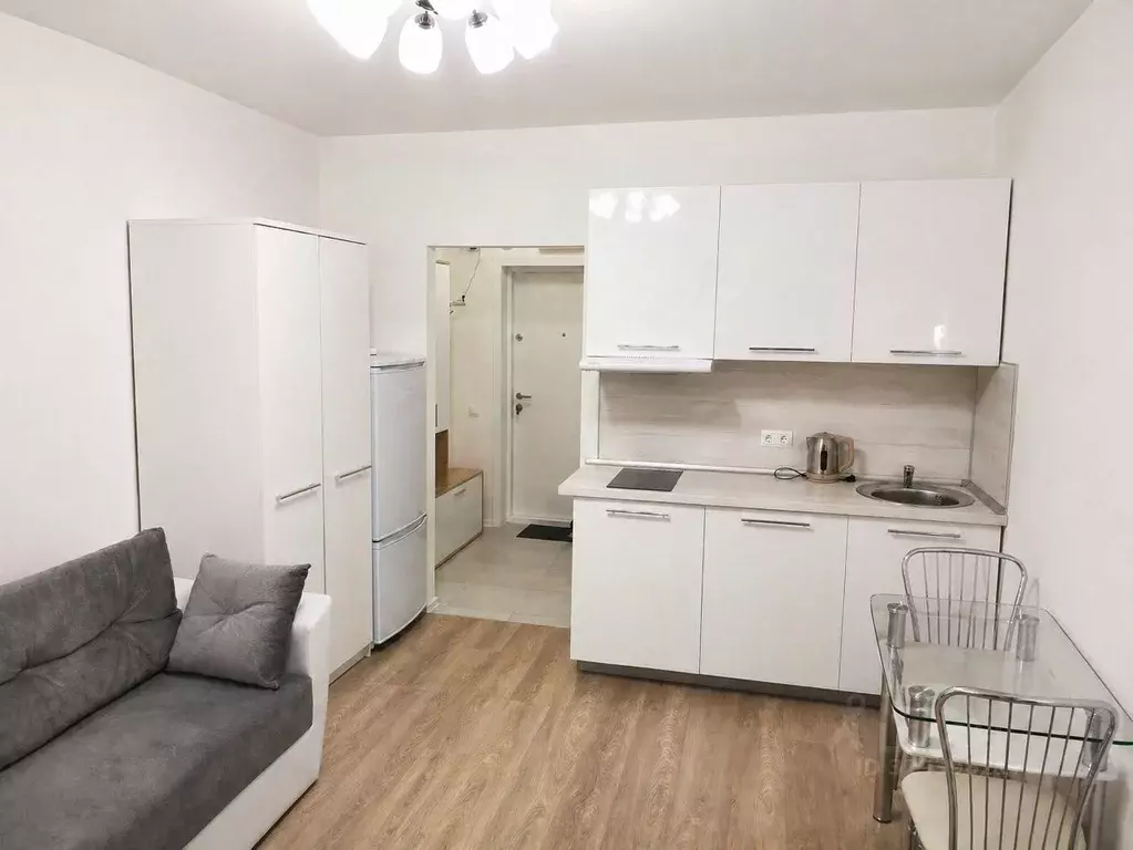 Студия Московская область, Люберцы ул. Летчика Ларюшина, 16 (22.0 м) - Фото 2