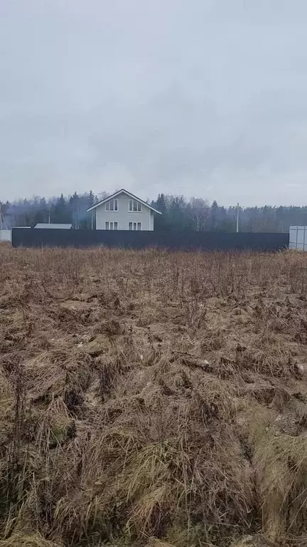 Участок в Владимирская область, Александровский муниципальный округ, ... - Фото 2