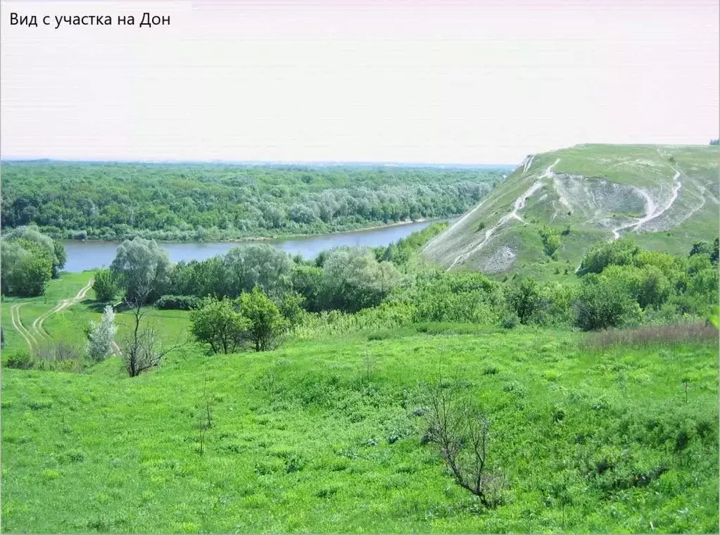 Участок в Воронежская область, Подгоренский район, Белогорьевское ... - Фото 1