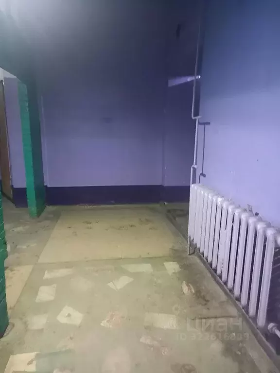 Комната Новосибирская область, Новосибирск ул. Энгельса, 14 (13.0 м) - Фото 2