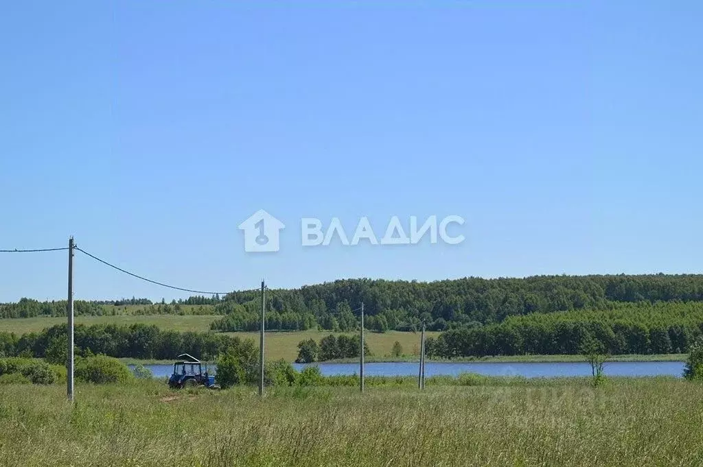 Участок в Нижегородская область, Богородский муниципальный округ, д. ... - Фото 1