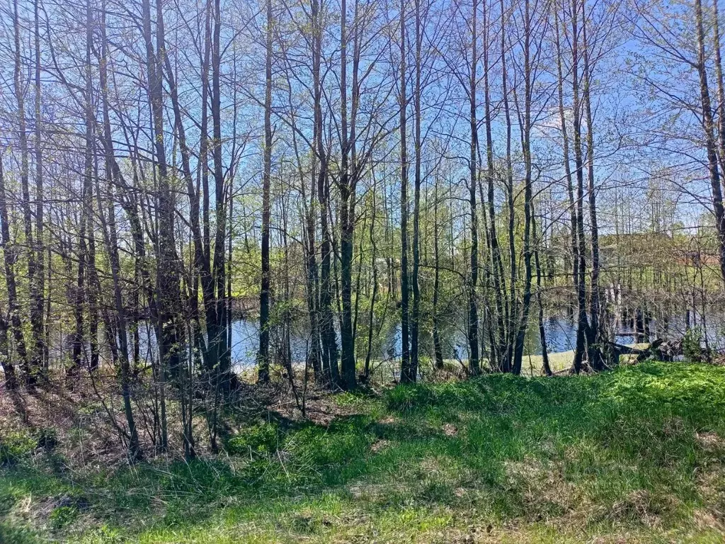 Участок в Нижегородская область, Лысковский район, с. Нижний Красный ... - Фото 0