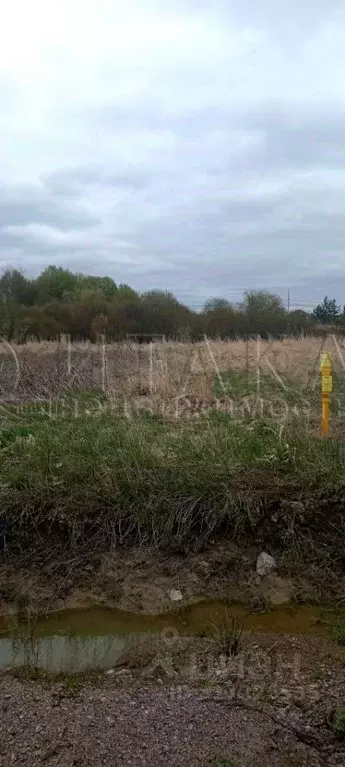 Участок в Ленинградская область, Приозерский район, Красноозерное ... - Фото 1