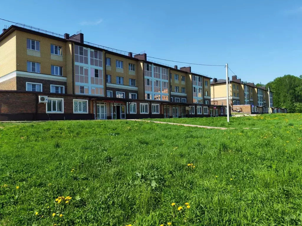 Помещение свободного назначения в Костромская область, Кострома ул. ... - Фото 2