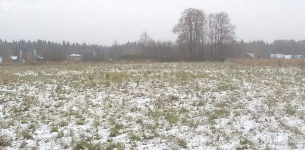 Участок в Московская область, городской округ Чехов, деревня Васькино ... - Фото 0