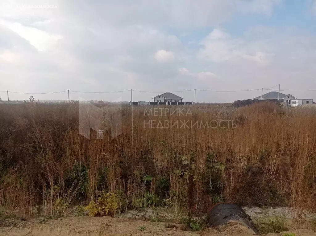 Участок в Тюменский муниципальный округ, Переваловское муниципальное ... - Фото 2