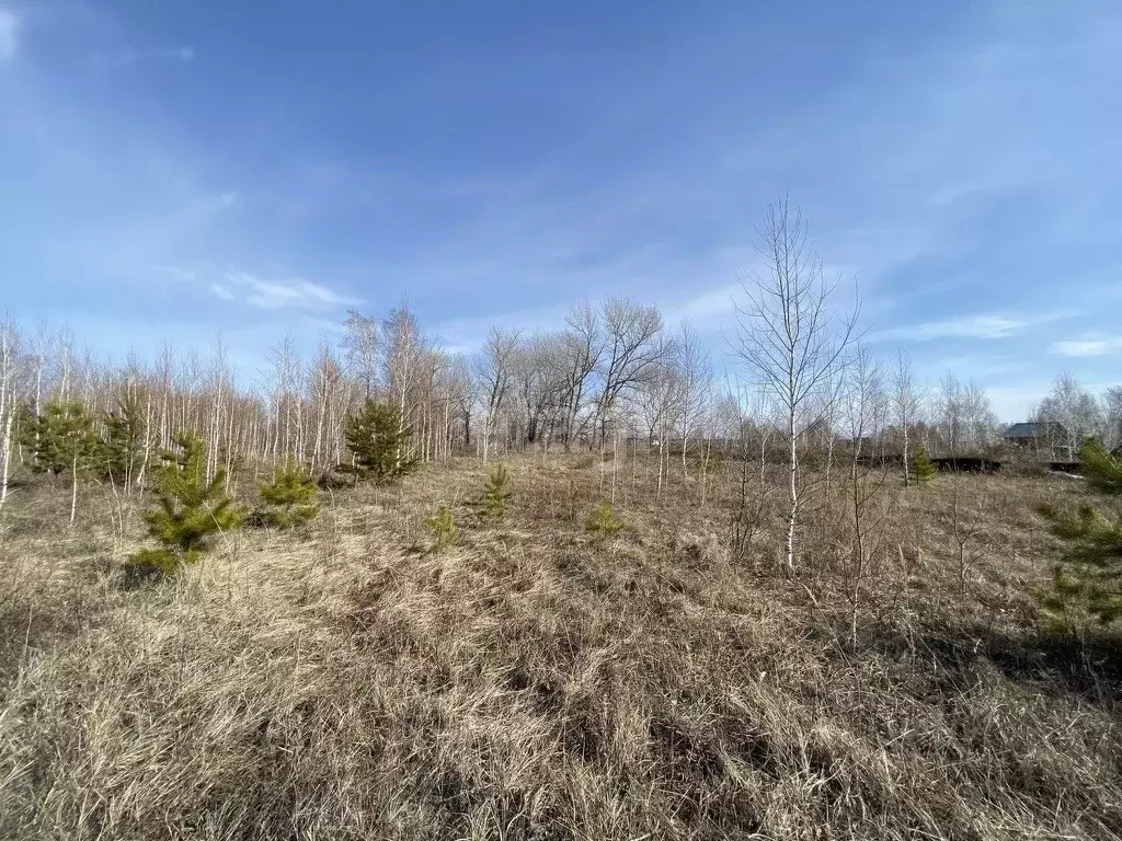 Участок в Курганская область, с. Кетово ул. Мирная (12.0 сот.) - Фото 1