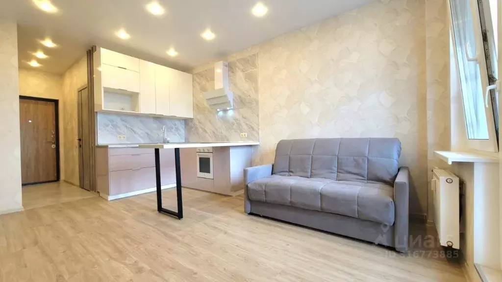 Студия Санкт-Петербург пер. Ипподромный, 1к1 (24.0 м) - Фото 0