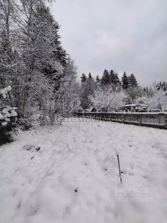 Участок в Ленинградская область, Приозерское городское поселение, пос. ... - Фото 2