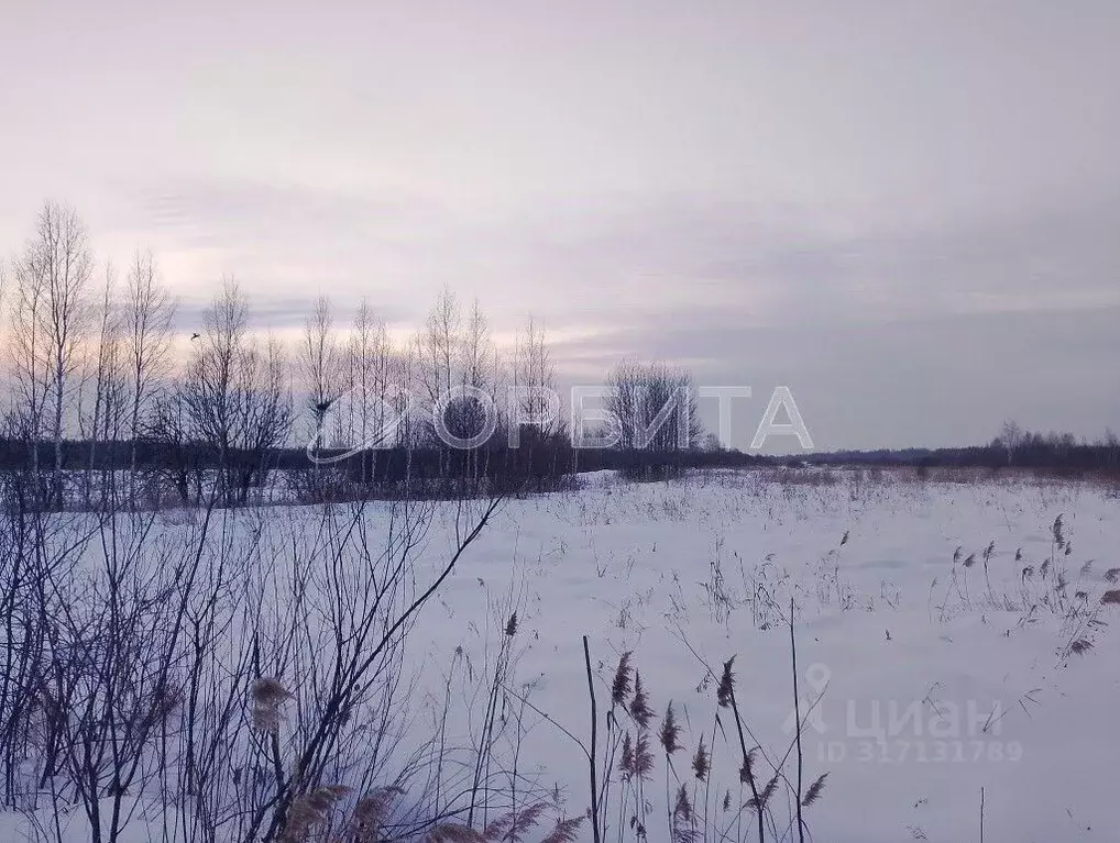 Участок в Тюменская область, Тюменский район, Воскресенье-1 ДНТ ул. ... - Фото 1