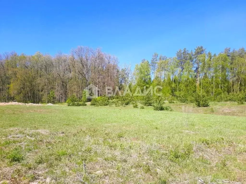 Участок в Татарстан, Зеленодольский район, Айшинское с/пос, пос. Нарат ... - Фото 1