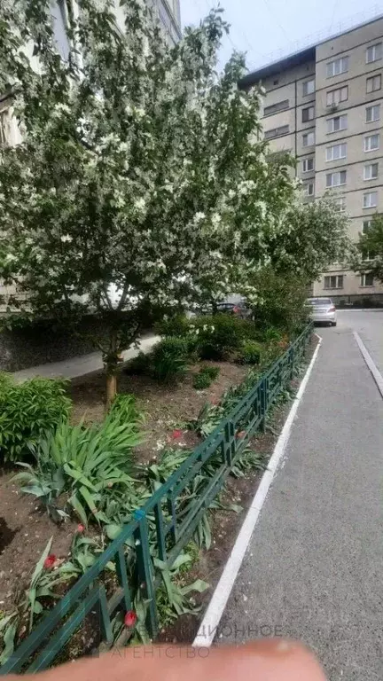 1-к кв. Тюменская область, Тюмень Комсомольская ул., 44 (33.6 м) - Фото 2