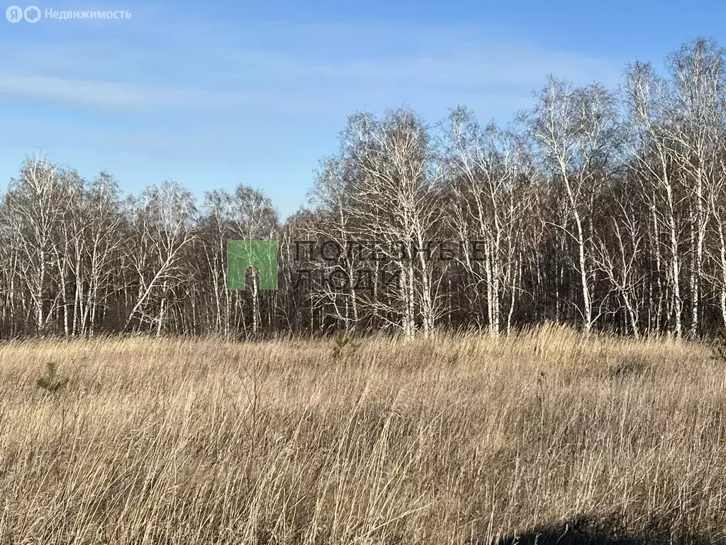 Участок в Красноярский край, посёлок городского типа Берёзовка (11.6 ... - Фото 0