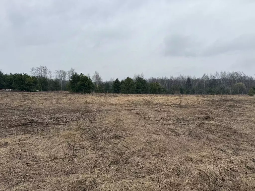 Участок в Московская область, Орехово-Зуевский городской округ, д. ... - Фото 1