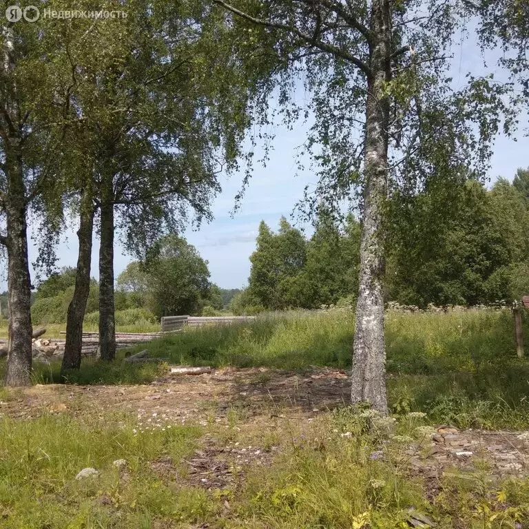 Участок в Новгородская область, Крестецкий муниципальный округ, М-10 ... - Фото 1