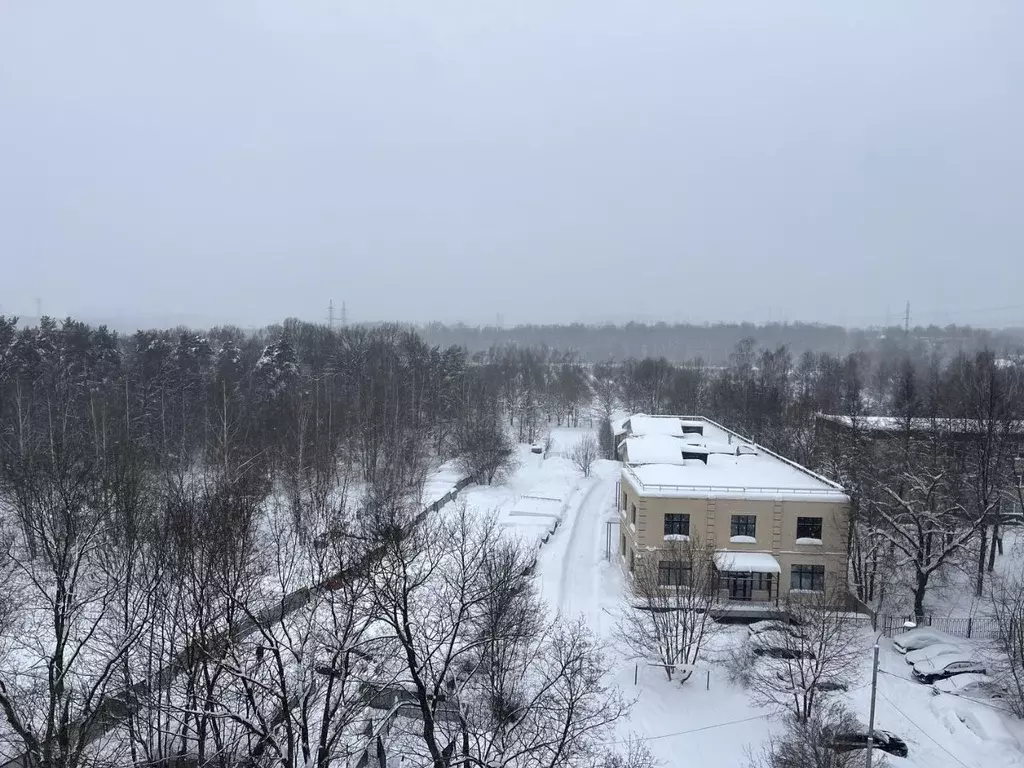 1-к кв. Московская область, Ленинский городской округ, Измайлово пгт ... - Фото 2