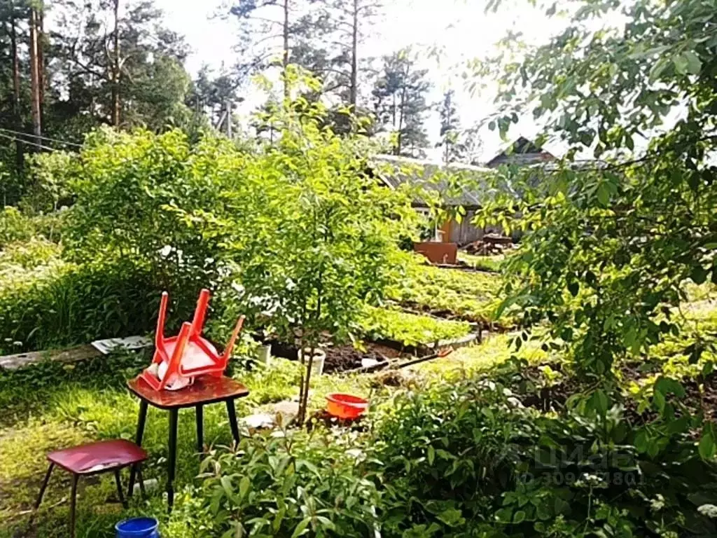 Дом в Ленинградская область, Гатчинский район, Вырица городской ... - Фото 2