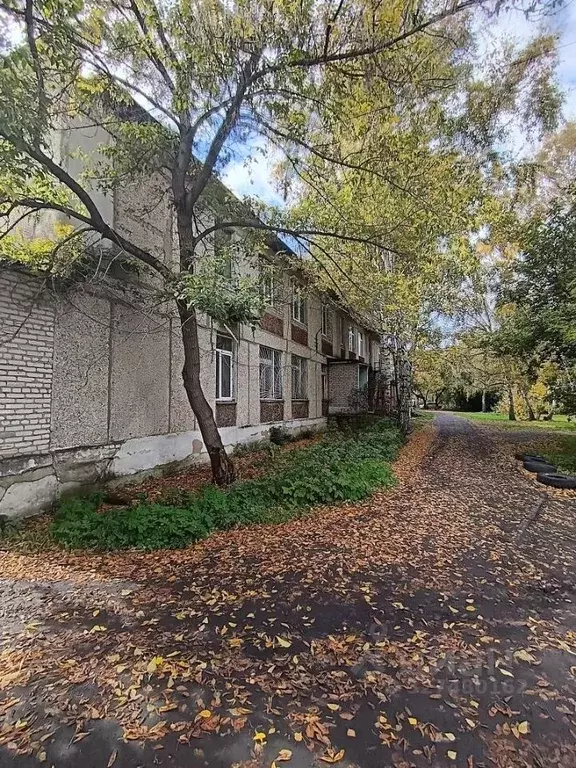 Офис в Курганская область, Петуховский муниципальный округ, с. ... - Фото 1