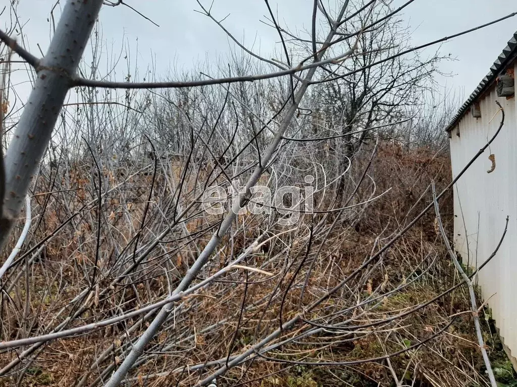 Участок в Белгородская область, Бирюч Красногвардейский район, ул. ... - Фото 0