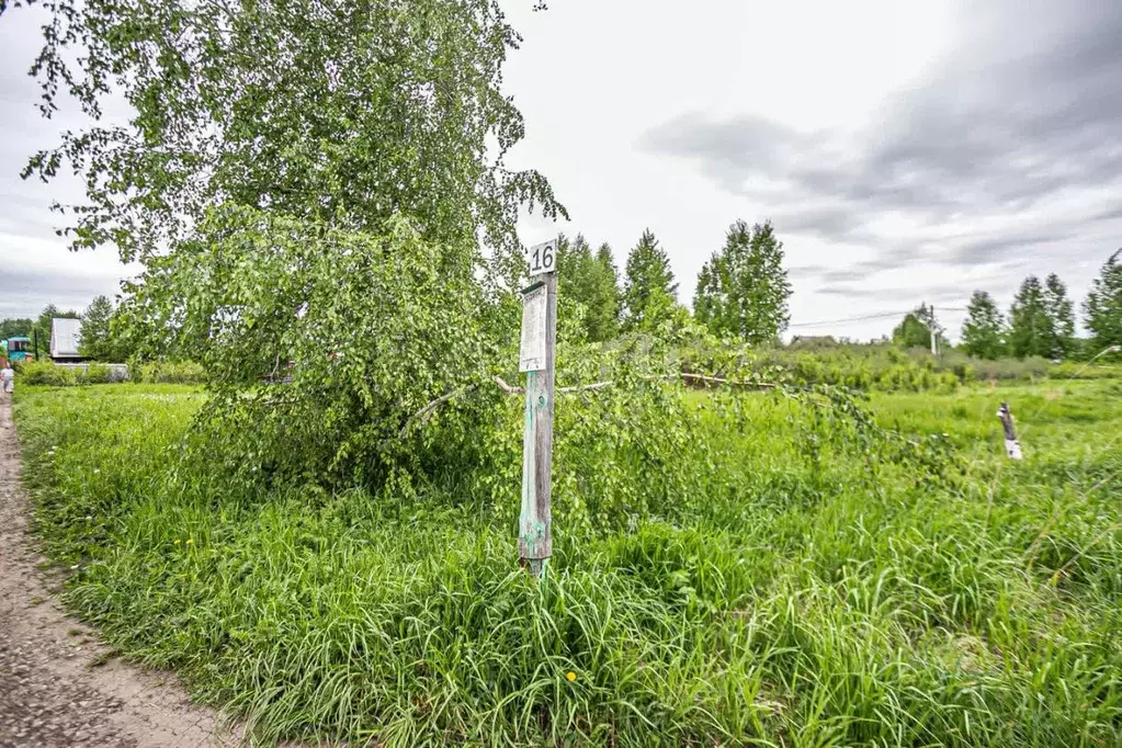 Участок в Новосибирская область, Бердск Ива СНТ, ул. 16-я, 2 (5.1 ... - Фото 1