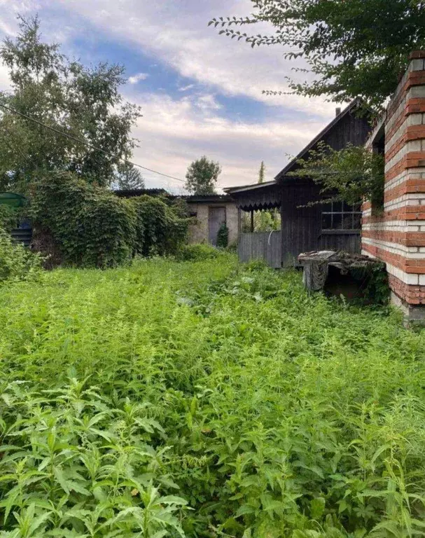 Участок в Приморский край, Дальнереченск ул. Олега Кошевого, 15 (16.0 ... - Фото 2