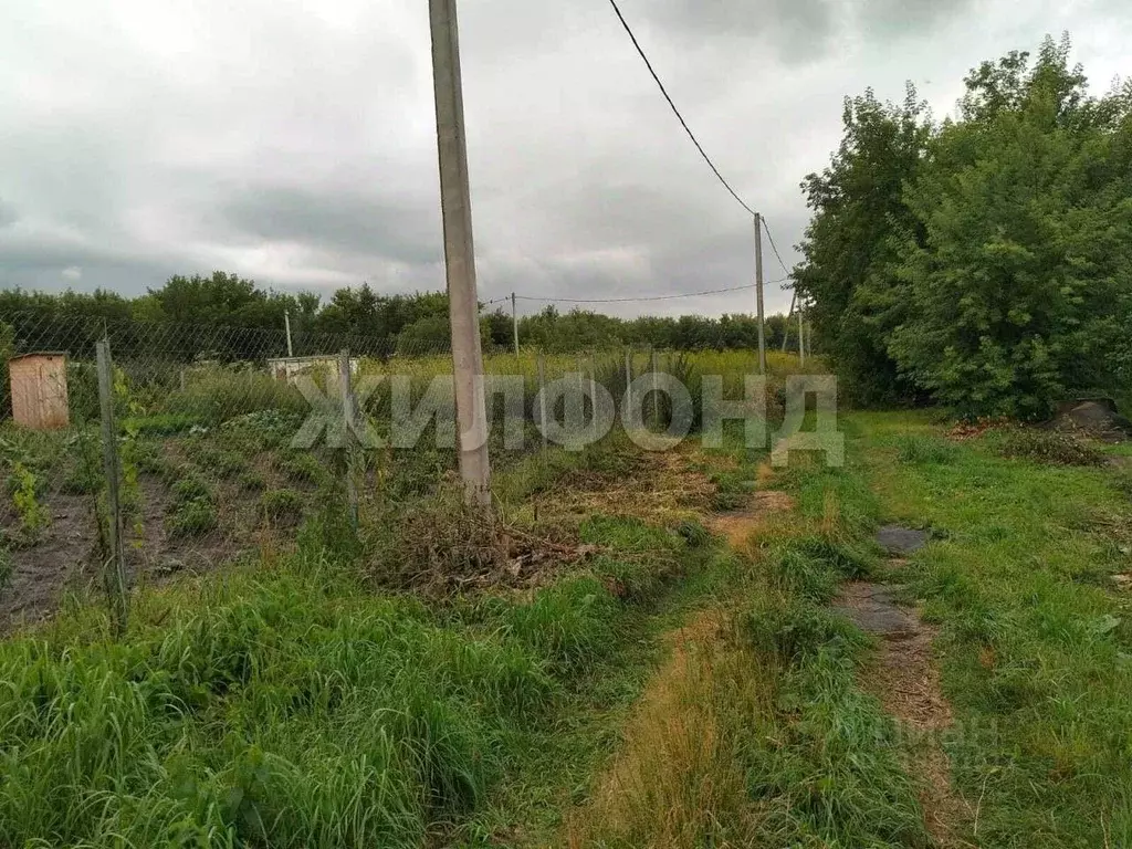 Участок в Новосибирская область, Новосибирский район, Новолуговской ... - Фото 0