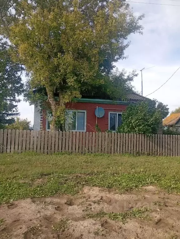 Дом в Омская область, Азовский Немецкий Национальный район, д. Роза ... - Фото 1