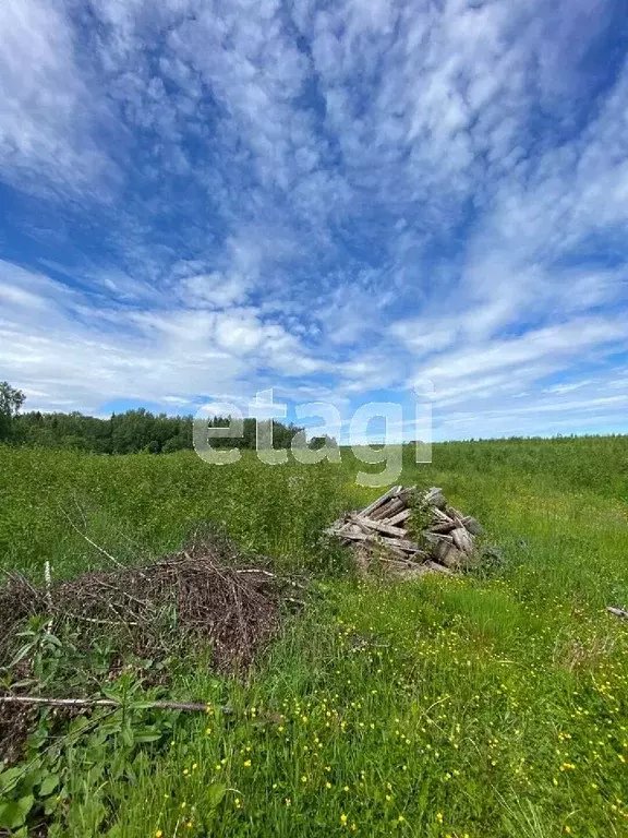 Участок в Коми, Сыктывдинский район, с. Выльгорт  (11.4 сот.) - Фото 0