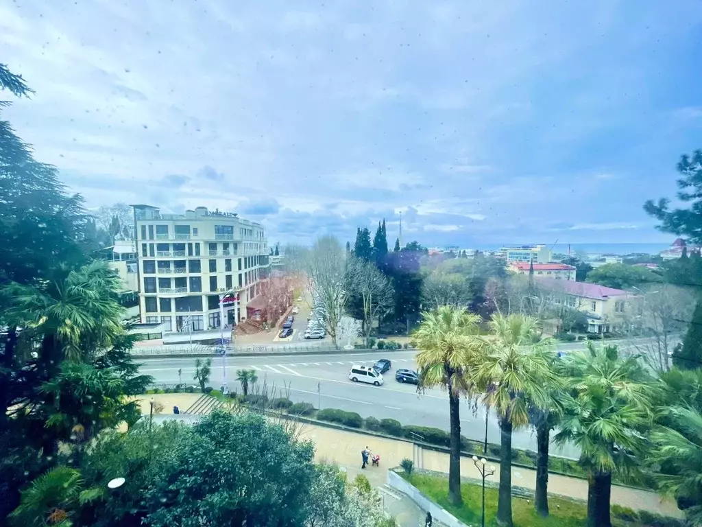 2-к кв. Краснодарский край, Сочи Центральный мкр, ул. Войкова, 20 ... - Фото 0