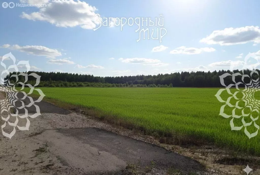 Участок в деревня Новые Псарьки (30 м) - Фото 2