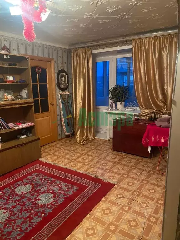 2-к кв. Забайкальский край, Чита ул. Энтузиастов, 50 (45.5 м) - Фото 0