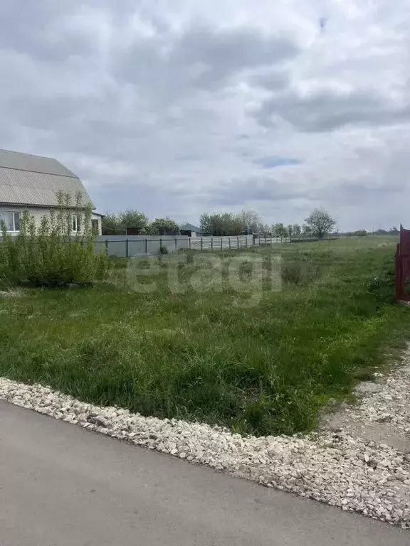 Участок в Саратовская область, Балашовский район, Хоперское ... - Фото 1