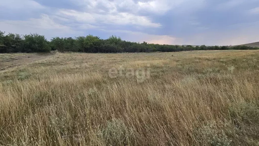 Участок в Крым, Белогорский район, с. Русаковка  (1134.9 сот.) - Фото 0