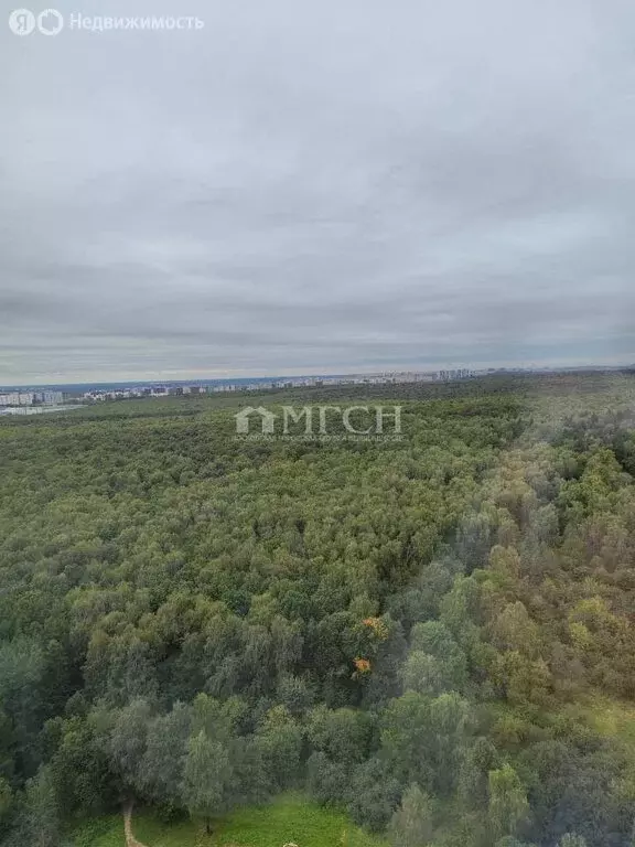 2-комнатная квартира: Москва, улица Поляны, 5 (56 м) - Фото 0