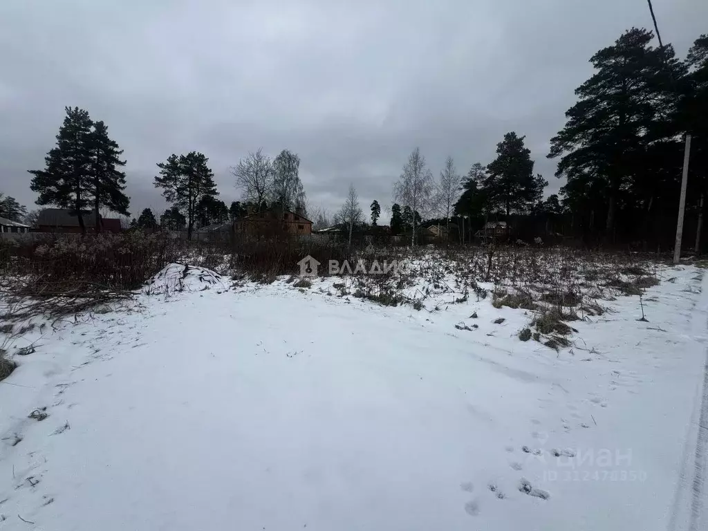 Участок в Московская область, Воскресенск городской округ, Хорлово рп ... - Фото 1