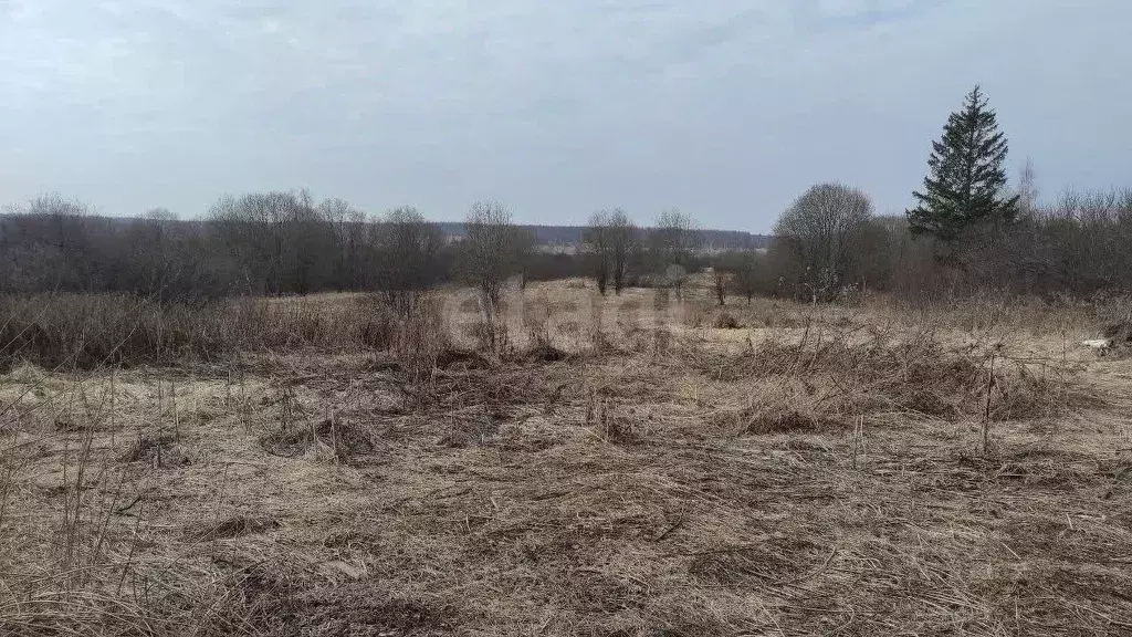 Участок в Ярославская область, Гаврилов-Ямский муниципальный округ, с. ... - Фото 1