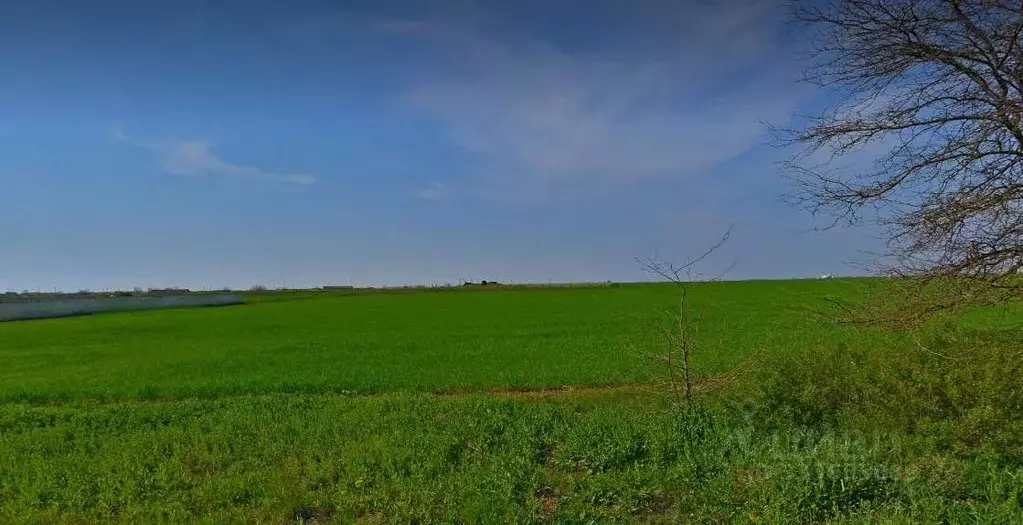 Участок в Крым, Сакский район, с. Орехово  (50.0 сот.) - Фото 1