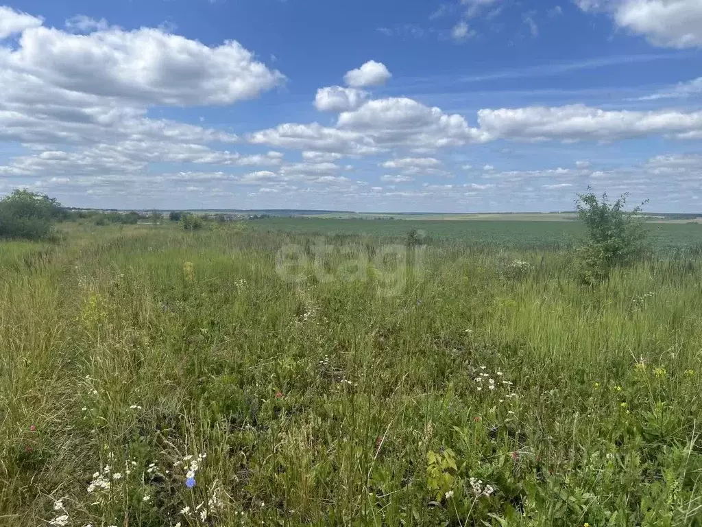 Участок в Мордовия, Лямбирский район, с. Берсеневка  (9.66 сот.) - Фото 1