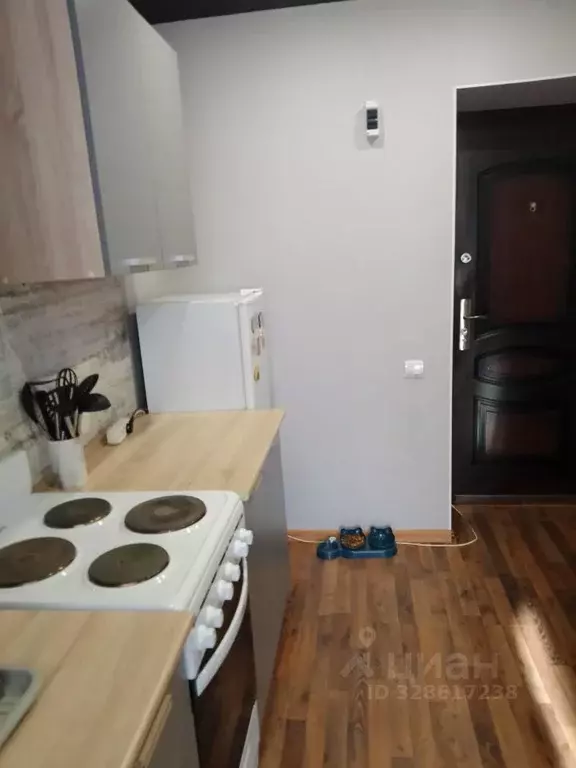 Студия Самарская область, Самара Шариковый пер., 4 (20.0 м) - Фото 2