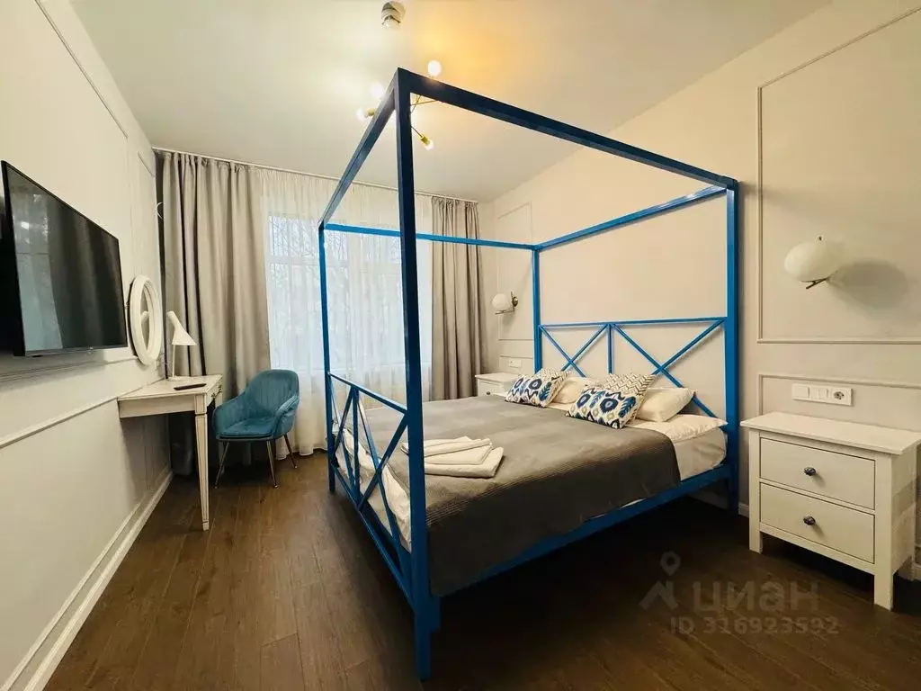 Студия Санкт-Петербург ул. Савушкина, 104 (27.0 м) - Фото 1