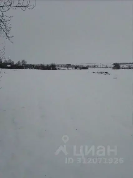 Участок в Самарская область, Кошкинский район, с. Большое Ермаково ... - Фото 1