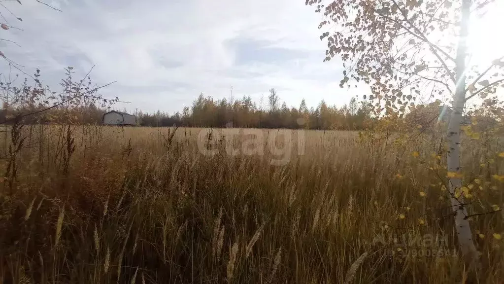 Участок в Марий Эл, Йошкар-Ола городской округ, д. Шоя-Кузнецово ул. ... - Фото 0