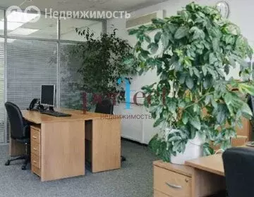 Офис (80.5 м) - Фото 1