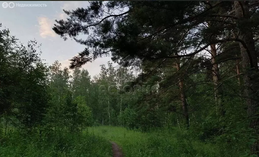 2-комнатная квартира: Красноярск, улица Академгородок, 7 (47.6 м) - Фото 0