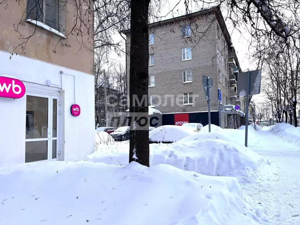 Торговая площадь в Московская область, Щелково Центральная ул., 42 (62 ... - Фото 1