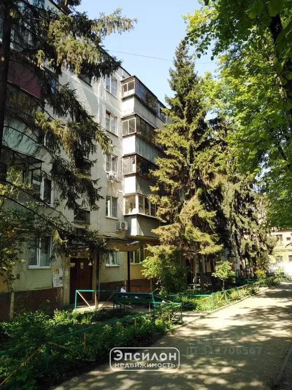 2-к кв. Курская область, Курск ул. Димитрова, 103 (43.8 м) - Фото 0
